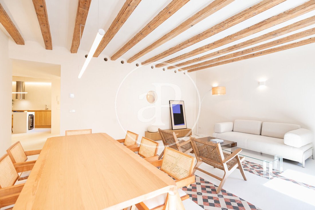 Apartment in Ciutat Vella, Barcelona, Spain 5 - 17285233