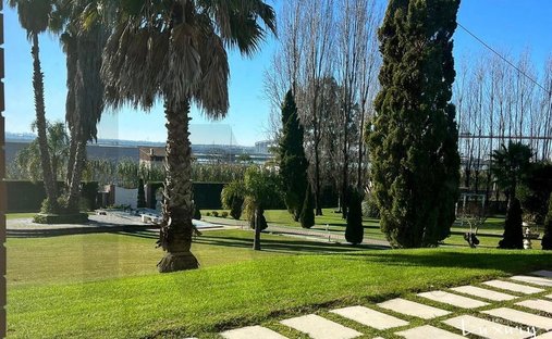 Azienda agricola a Vila Verde, Distretto di Coimbra, Portogallo 1
