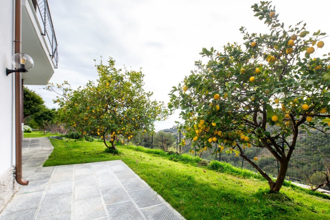 Villa in Bussana Vecchia, Sanremo, Liguria 5 - 17138857