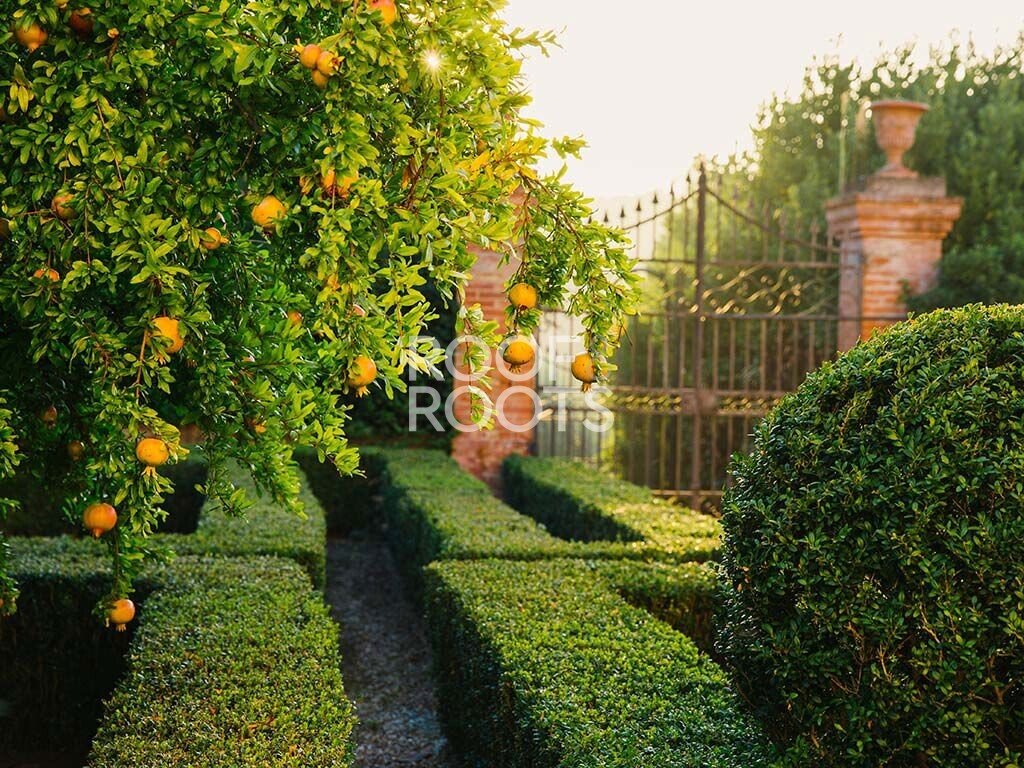 Villa in Castelnuovo Berardenga, Tuscany, Italy 3 - 17285416