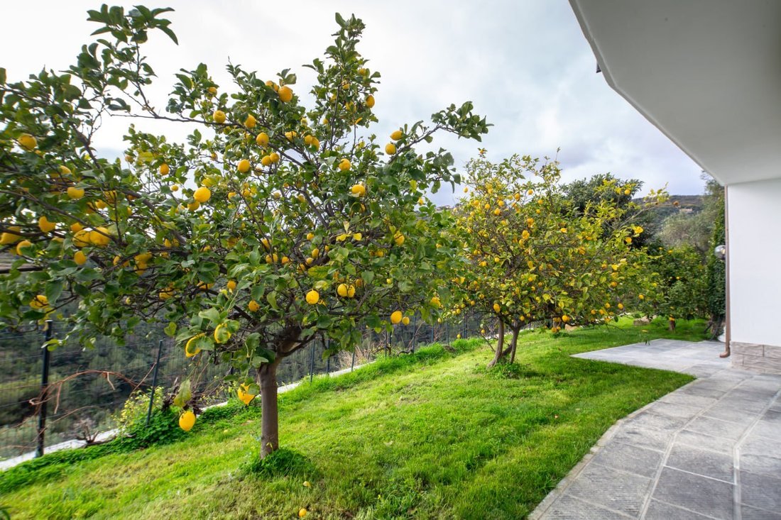 Villa in Bussana Vecchia, Sanremo, Liguria 4 - 17138857