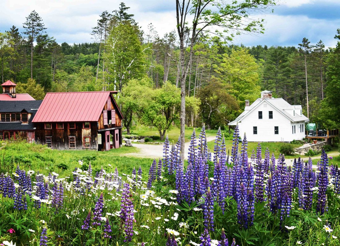 House in Londonderry, Vermont, United States 2 - 17285365