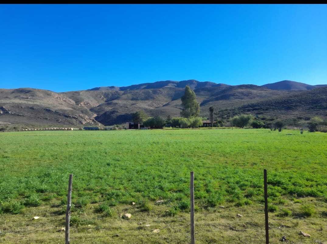 Farm Ranch in Ladismith, Western Cape, South Africa 4 - 17285887