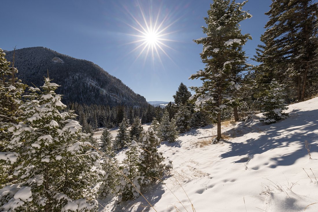 Land in Gallatin Gateway, Montana, United States 5 - 17285941