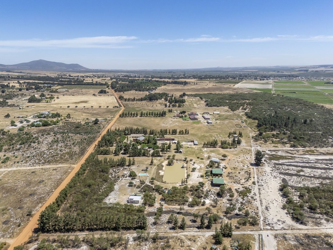 Farm Ranch in Johannesburg, Gauteng, South Africa 4 - 17249643