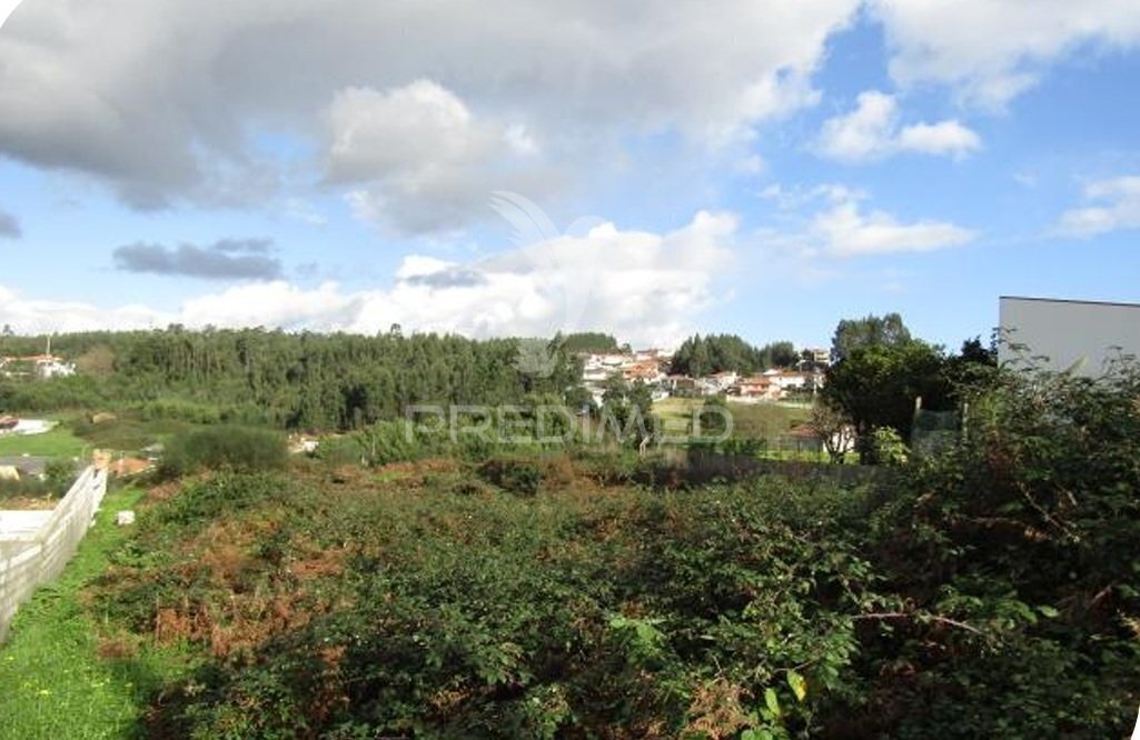 Land in Nogueira da Regedoura, Aveiro District, Portugal 1 - 17291783