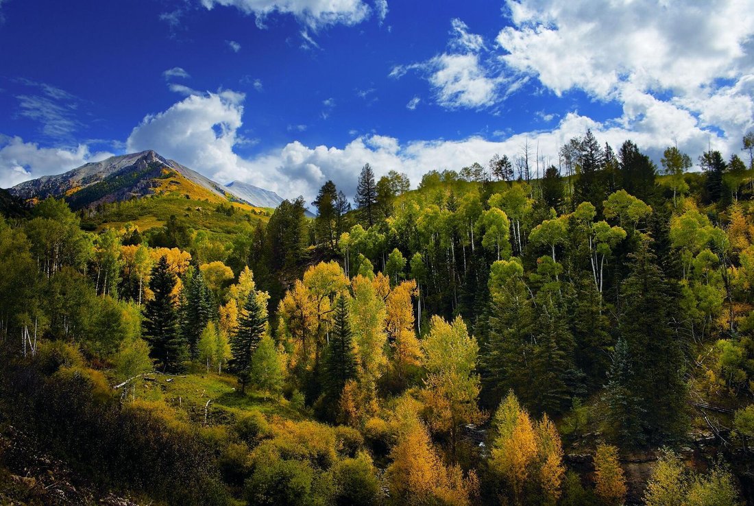 Land in Mountain Village, Colorado, United States 4 - 17289764