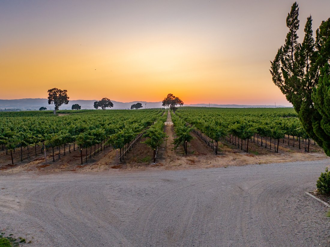 House in Paso Robles, California, United States 5 - 17287354