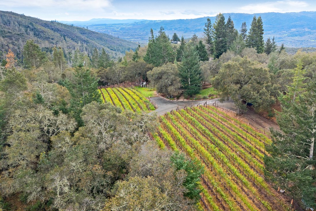 House in Glen Ellen, California, United States 5 - 15737936