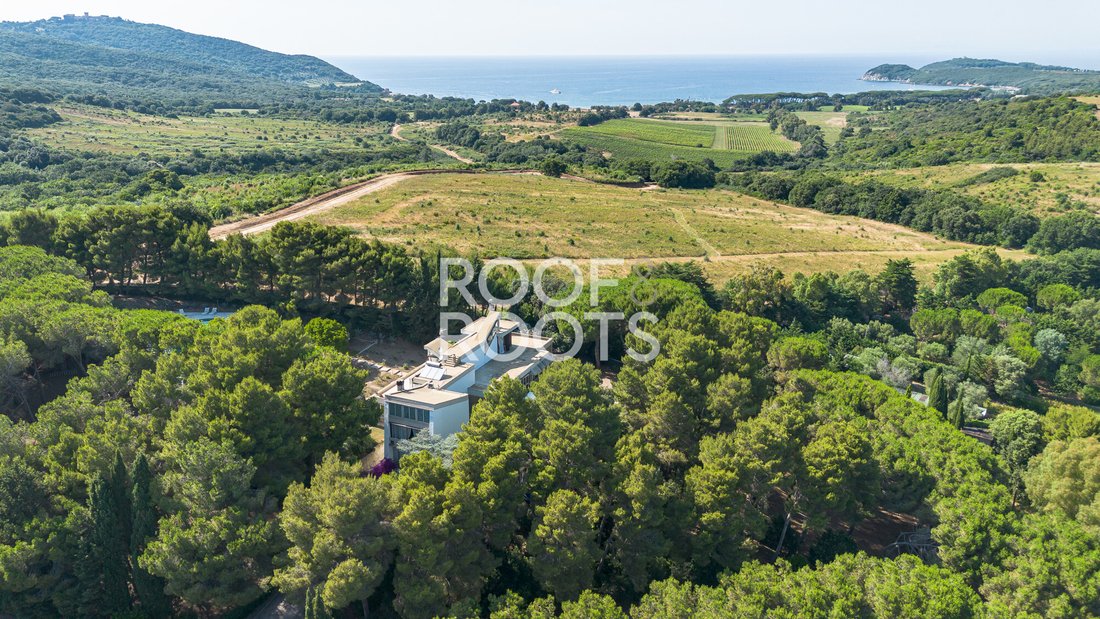 Villa in Center, Piombino, Tuscany 3 - 17286017