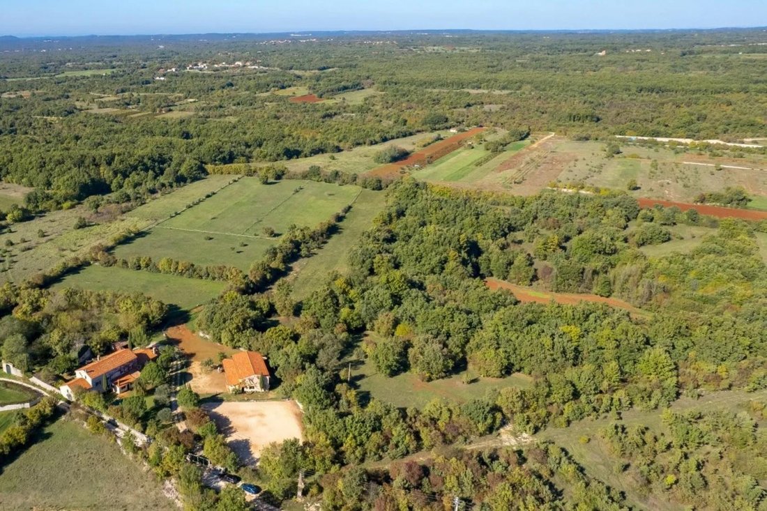 Villa in Svetvincenat, Istria County, Croatia 5 - 17290347