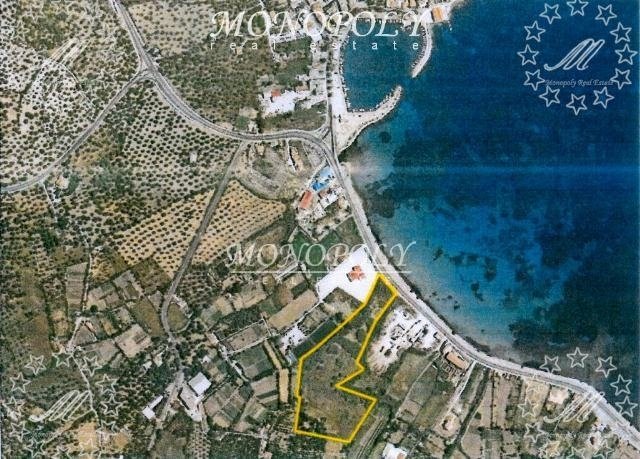 Mytilene, Aegean, Greece 1 - 12461264