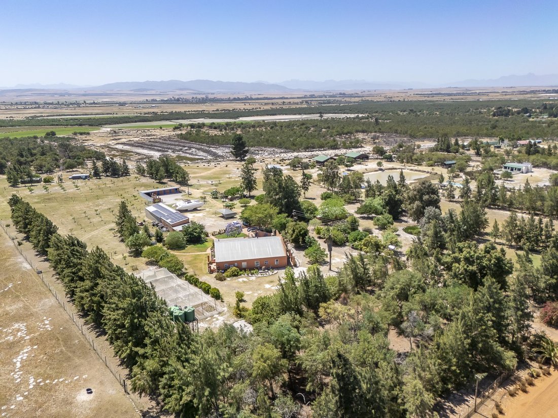 Farm Ranch in Johannesburg, Gauteng, South Africa 2 - 17249643