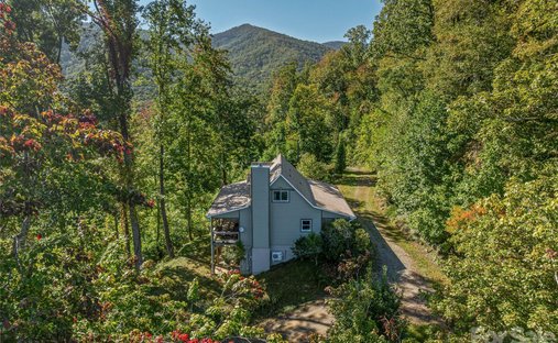 Maison à Candler, Caroline du Nord, États-Unis 1