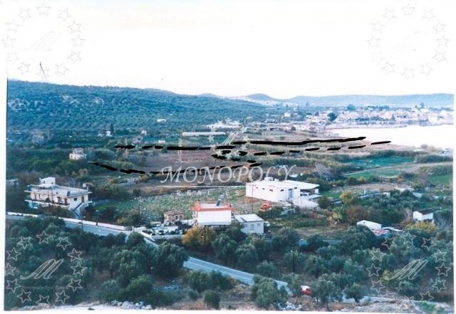 Mytilene, Aegean, Greece 2 - 12461264