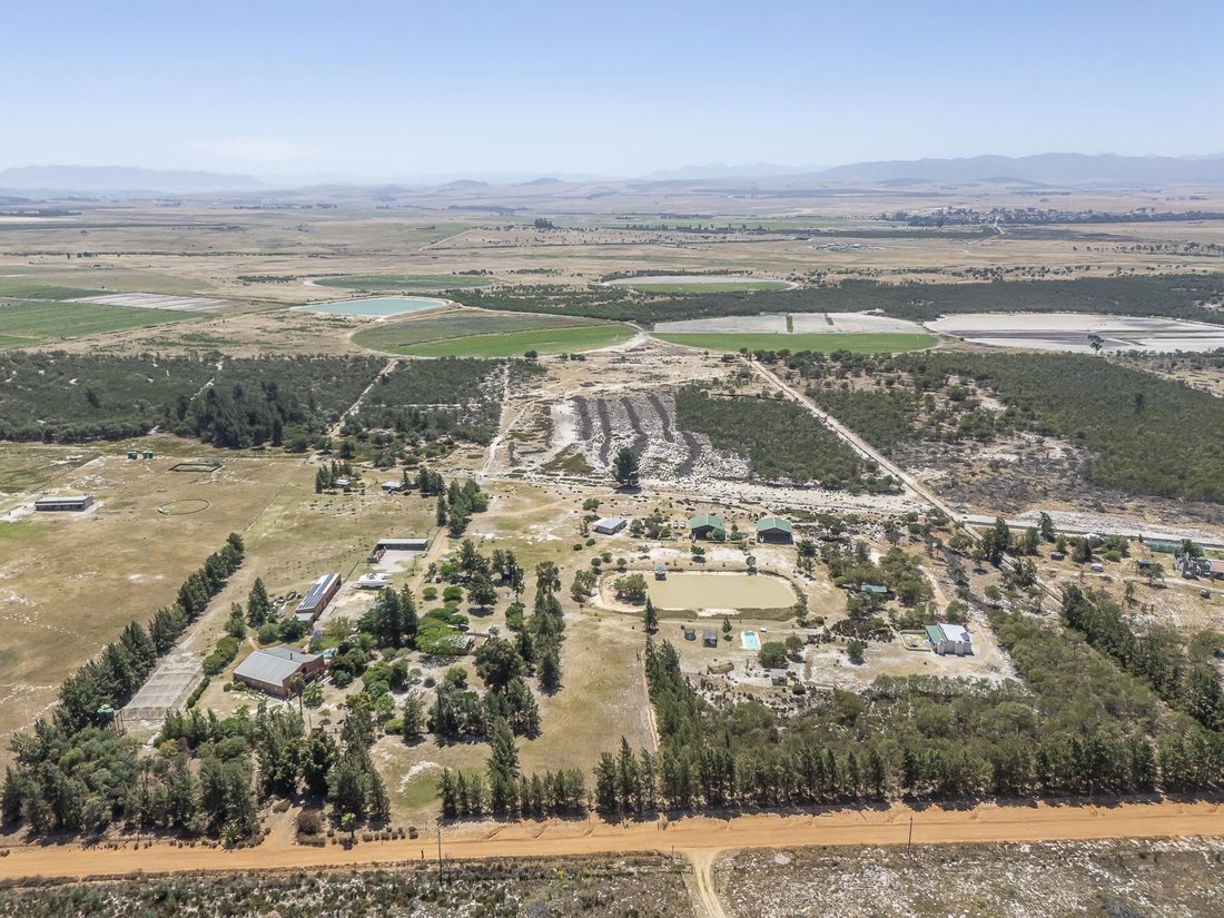 Farm Ranch in Johannesburg, Gauteng, South Africa 5 - 17249643