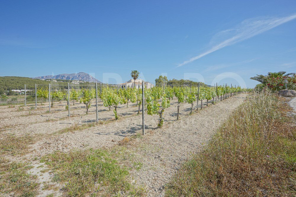 Finca in el Poble Nou de Benitatxell / Benitachell, Valencian Community, Spain 5 - 17289837