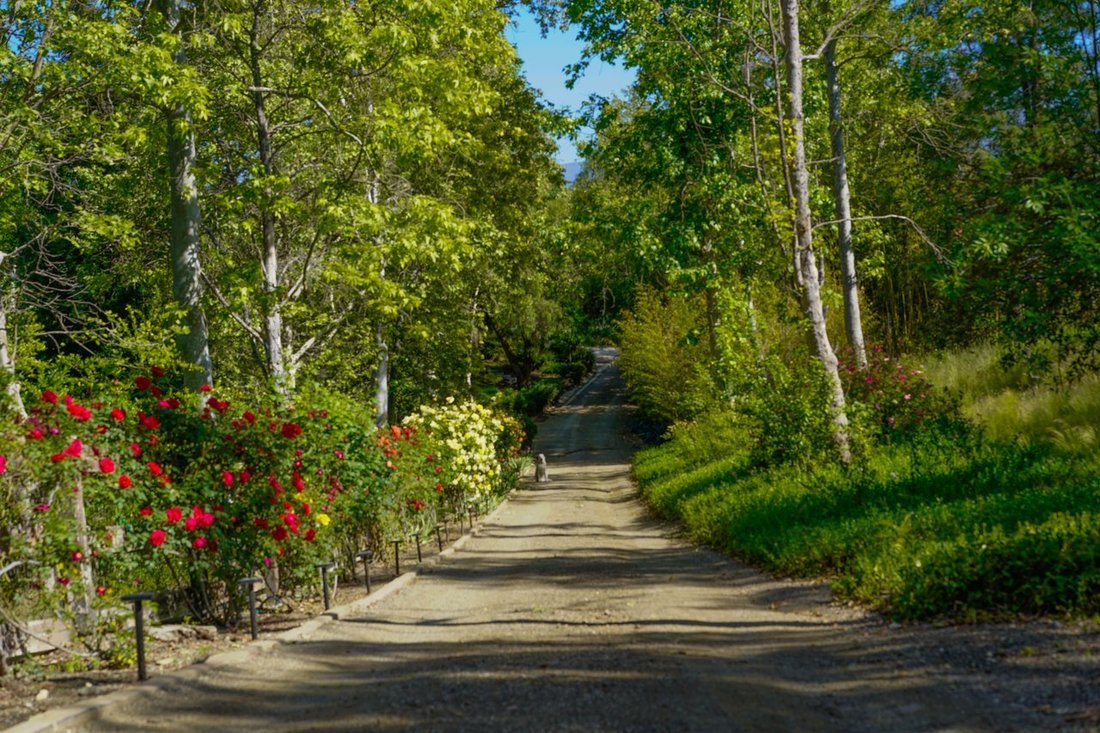 House in Santa Ynez, California, United States 5 - 17289786