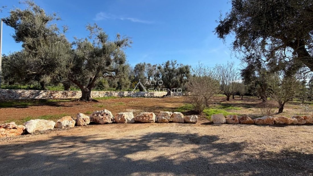Villa in Carovigno, Apulia, Italy 1 - 17286635