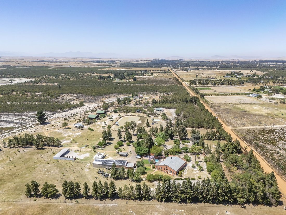 Farm Ranch in Johannesburg, Gauteng, South Africa 3 - 17249643