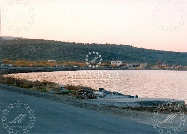 Mytilene, Aegean, Greece 5 - 12461264