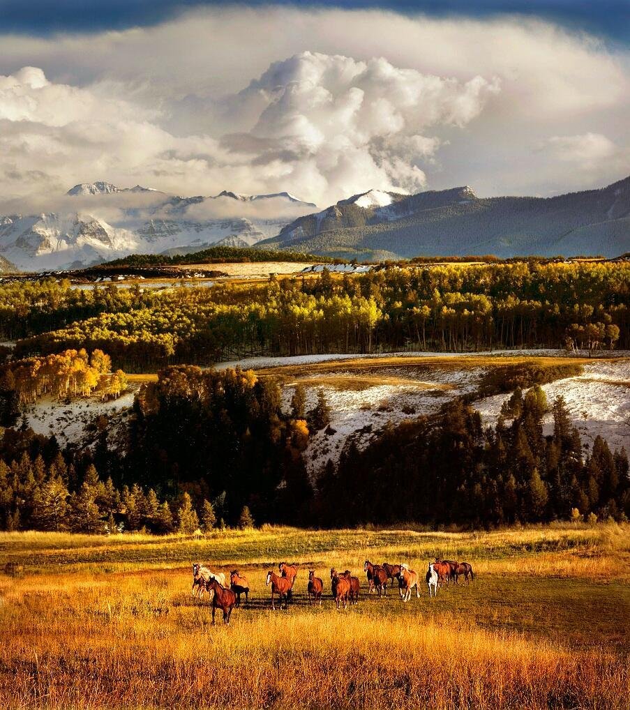 Land in Mountain Village, Colorado, United States 1 - 17289764