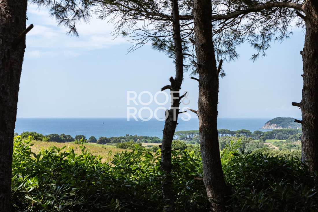 Villa in Center, Piombino, Tuscany 2 - 17286017