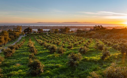 Farm Ranch in Carpinteria, California, United States 1