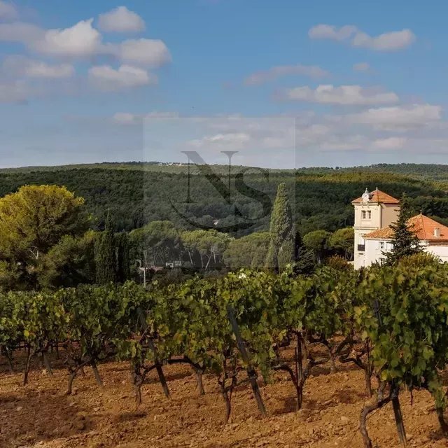 Farm Ranch in Grande Couronne, Cassis, France 5 - 13084594