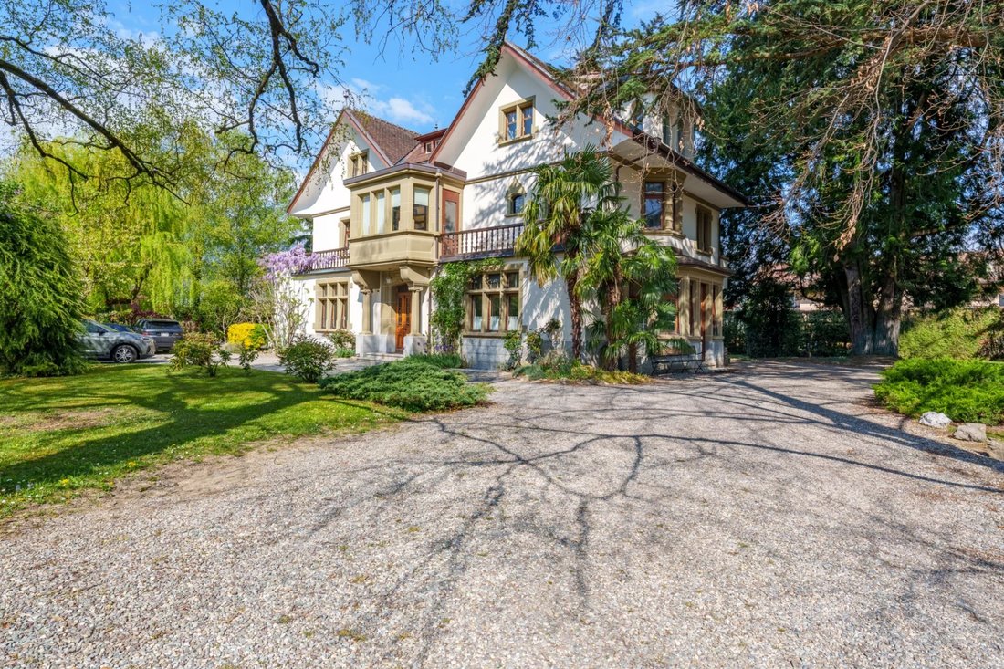 Single Family Detached