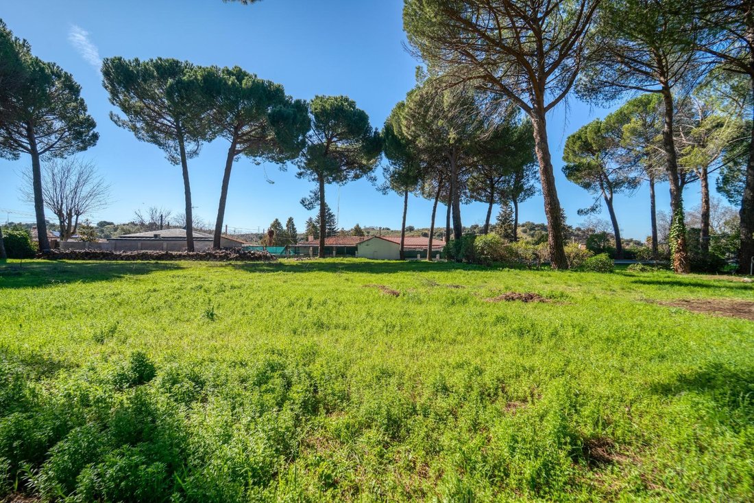 House in Villamanta, Comunidad de Madrid, Spain 4 - 17288888