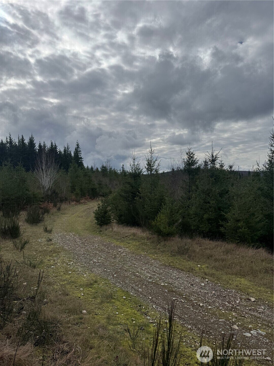Land in Ravensdale, Washington, United States 3 - 17291084