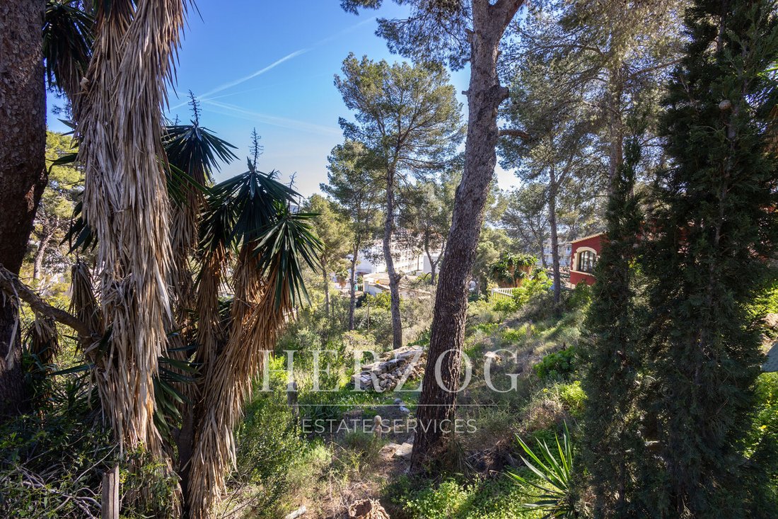 Land in Cala Fornells, Calvia, Balearic Islands 4 - 17288758