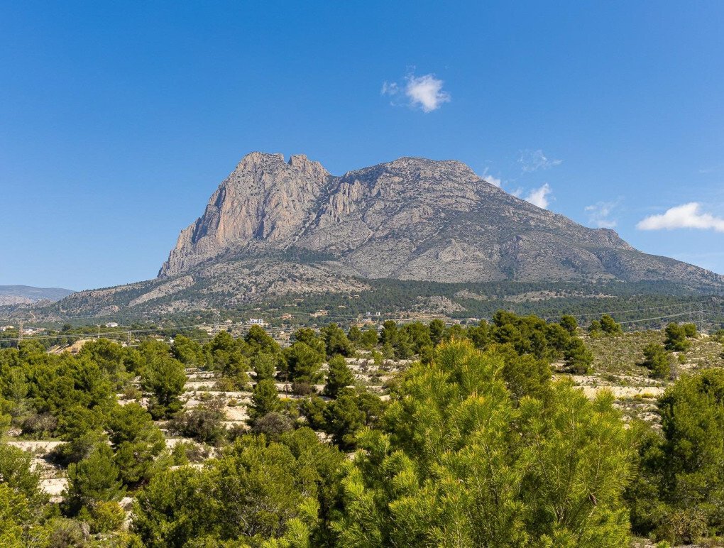 Villa in Finestrat, Valencian Community, Spain 2 - 17287052
