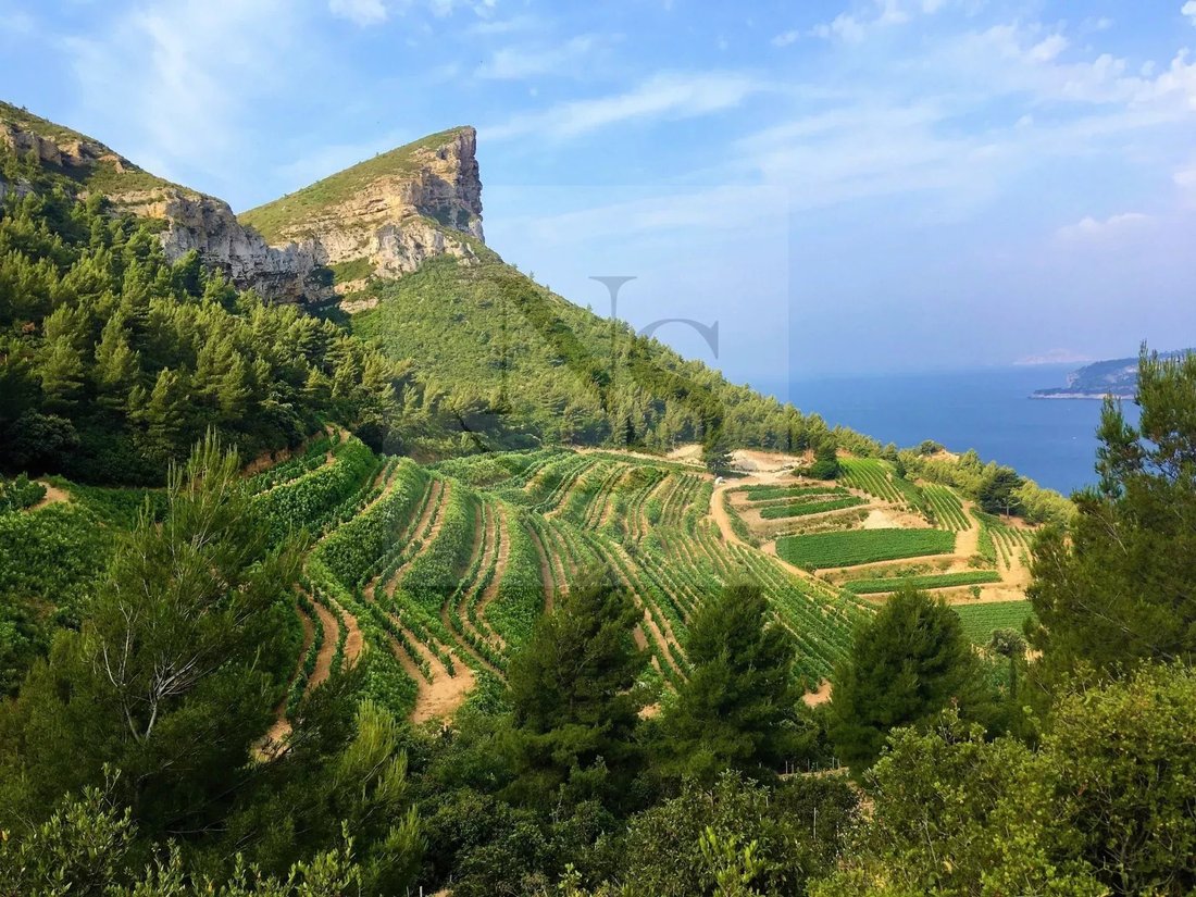 Farm Ranch in Grande Couronne, Cassis, France 3 - 13084594