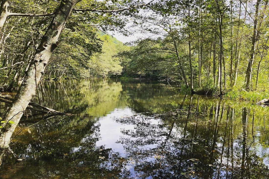 Land in Higashikawa, Hokkaido, Japan 1 - 17290833