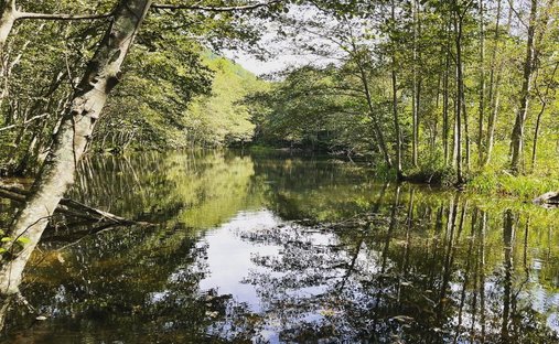 Terreno en Higashikawa, Hokkaidō, Japón 1