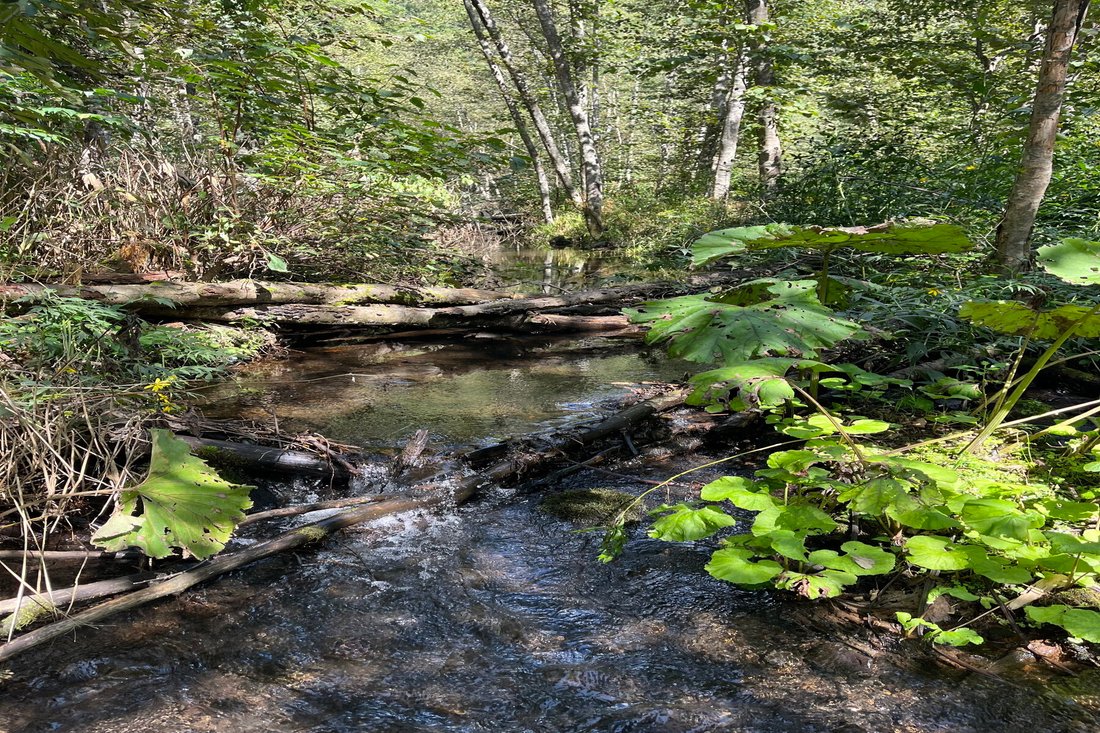 Land in Higashikawa, Hokkaido, Japan 3 - 17290833