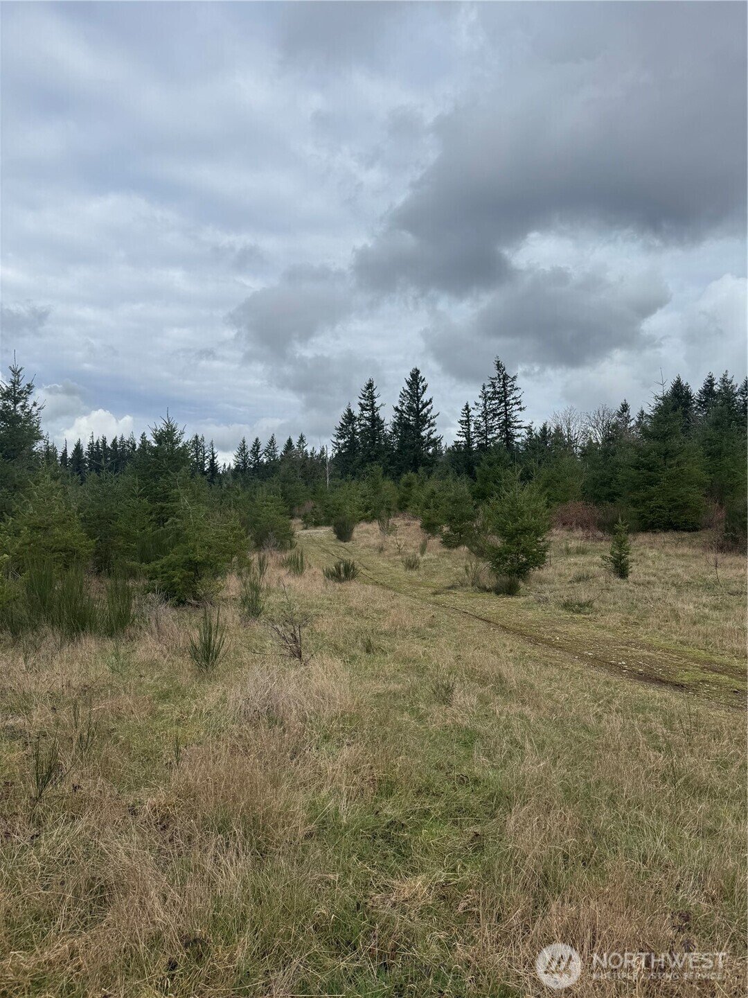 Land in Ravensdale, Washington, United States 4 - 17291084