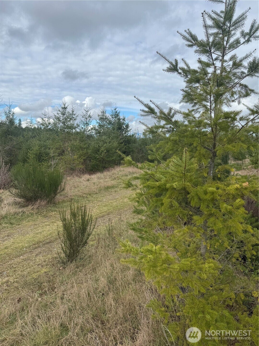 Land in Ravensdale, Washington, United States 2 - 17291084