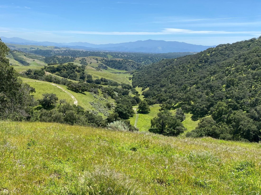 Farm Ranch in Buellton, California, United States 1 - 17288152