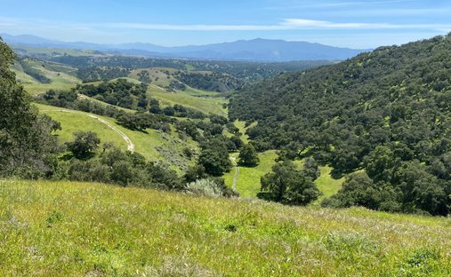 Farm Ranch in Buellton, California, United States 1