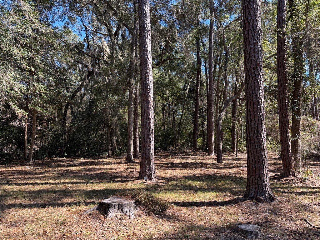 House in St. Simons, Georgia, United States 5 - 17288182