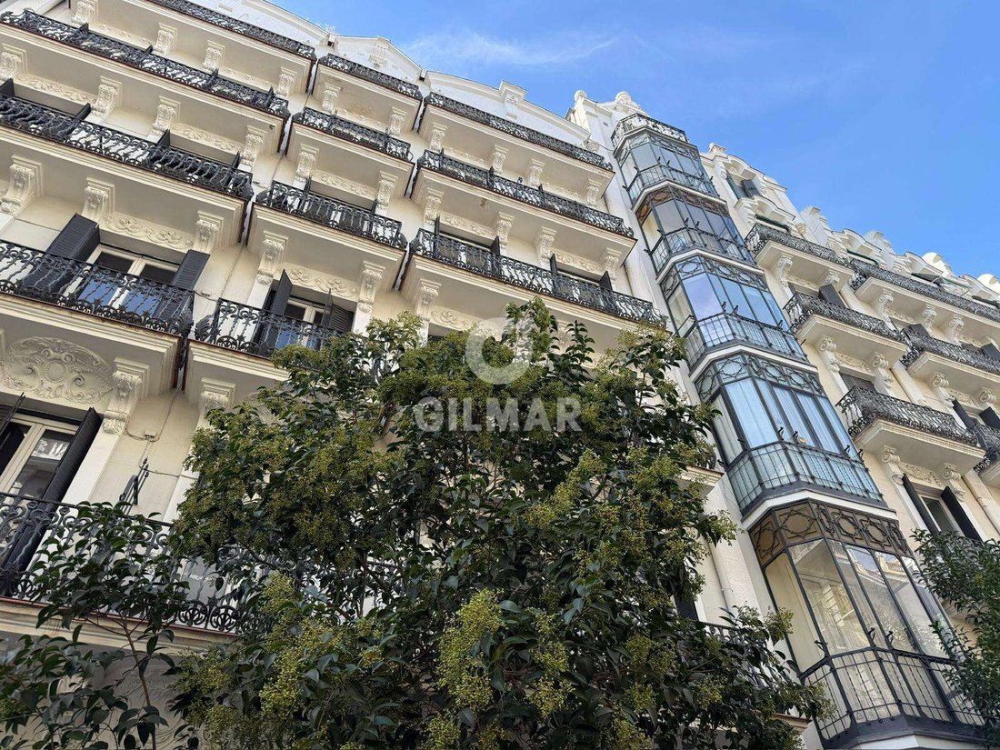 Apartment in Barrio Salamanca, Madrid, Spain 3 - 17290067