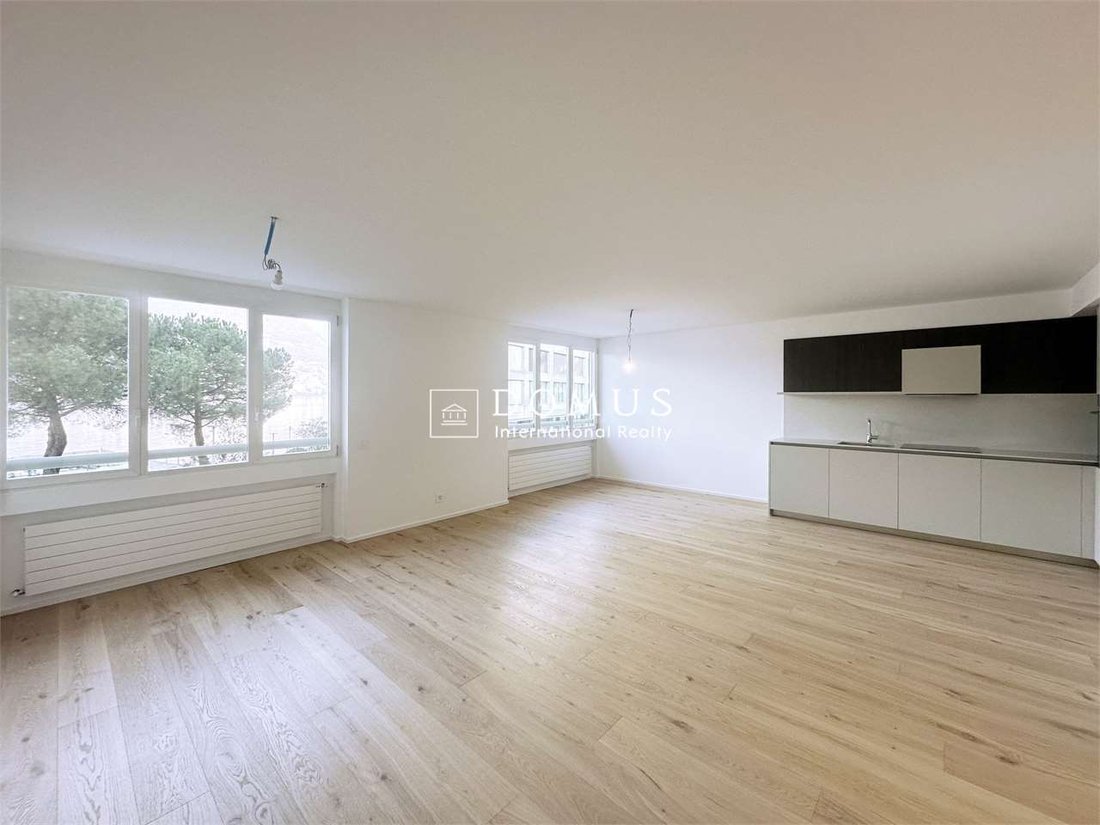 Apartment in Paradiso, Ticino, Switzerland 1 - 17288378