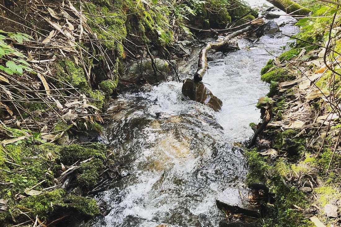 Land in Higashikawa, Hokkaido, Japan 5 - 17290833