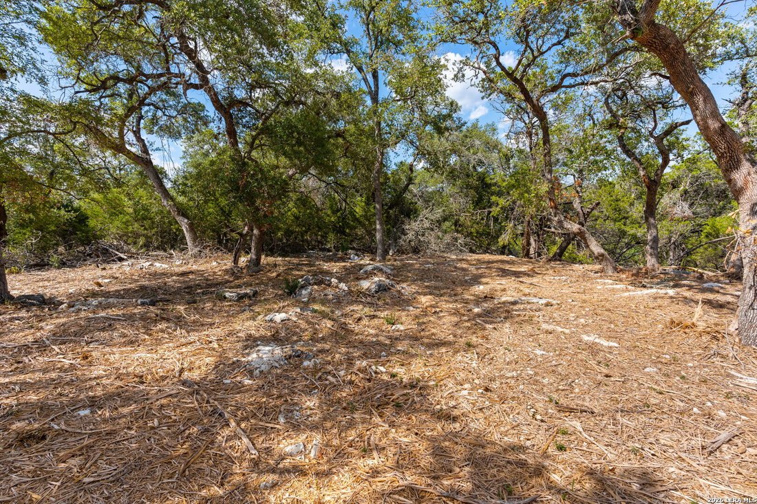 House in New Braunfels, Texas, United States 3 - 17289477