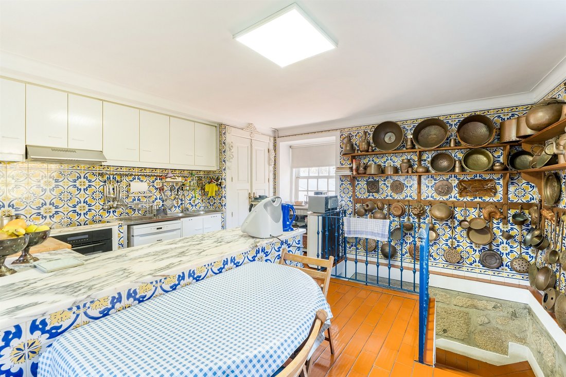 Farm Ranch in Moreira, Porto District, Portugal 4 - 17286061