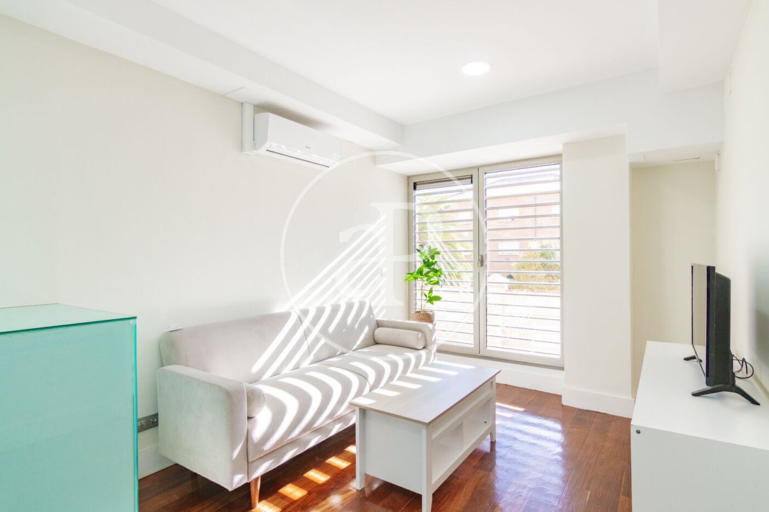 Apartment in Barrio Salamanca, Madrid, Spain 1 - 17291690