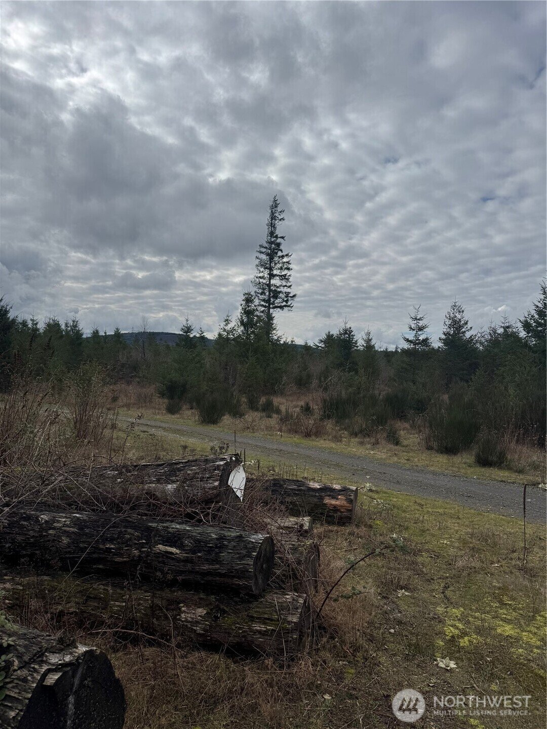 Land in Ravensdale, Washington, United States 5 - 17291084